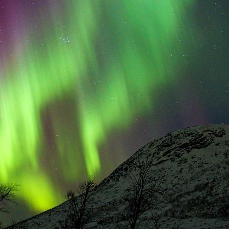 6 Person Holiday Home In Olderdalen Экстерьер фото